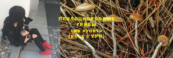 apvp Абинск