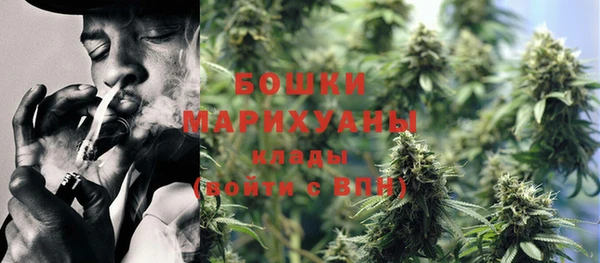 стафф Осташков