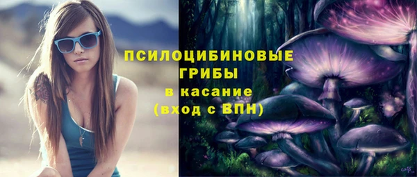 apvp Абинск
