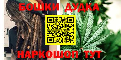 индика Прокопьевск