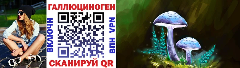 сколько стоит  Астрахань  Псилоцибиновые грибы MAGIC MUSHROOMS 