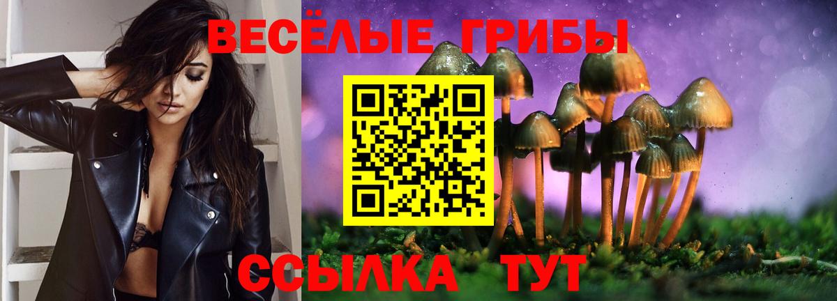 Астрахань  Галлюциногенные грибы Magic Shrooms  Вход с VPN 